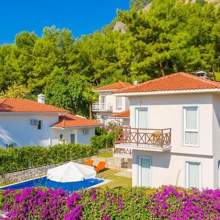 Villa Pine 3